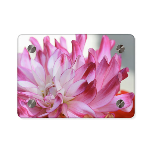 Floral Acrylic Wall Art Panels